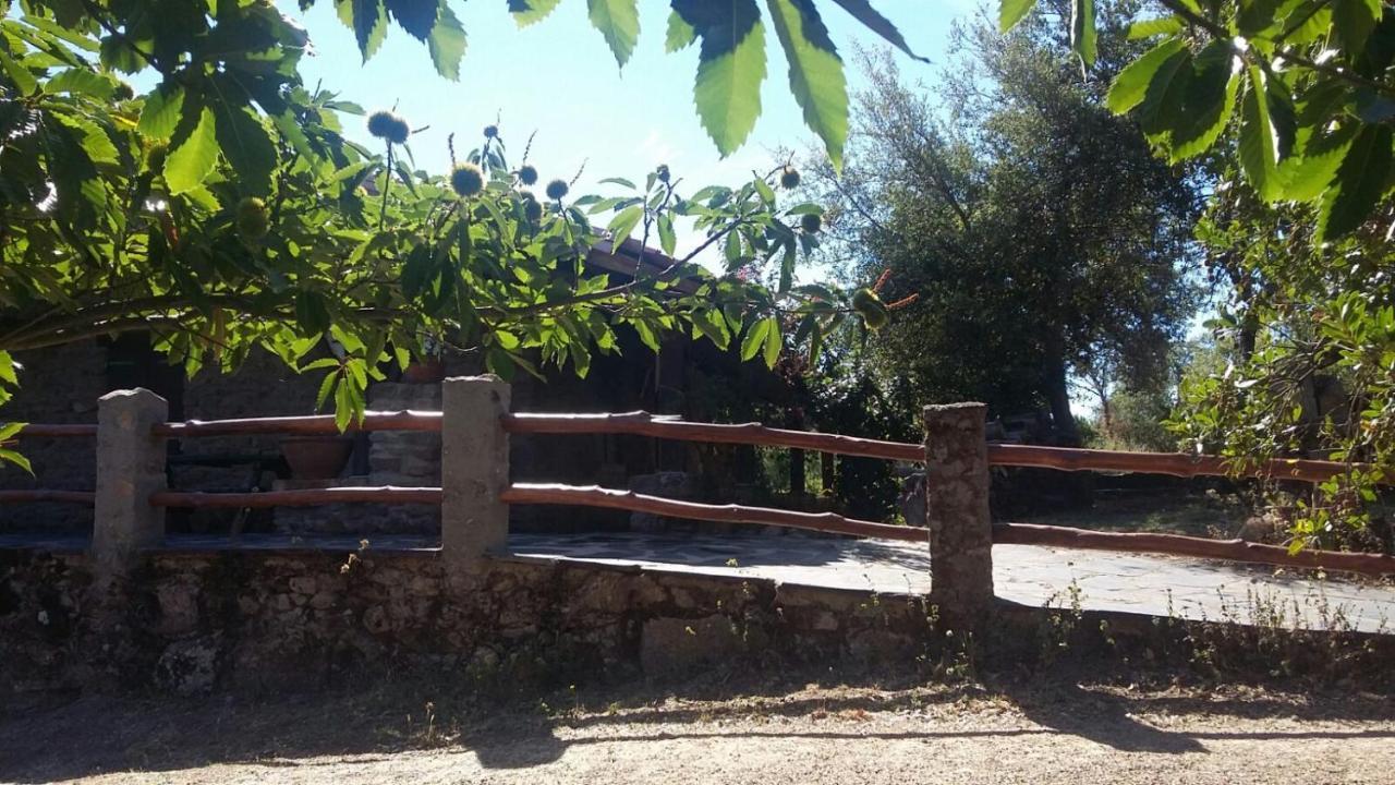 La Simona Casa Rural Perales del Puerto Esterno foto
