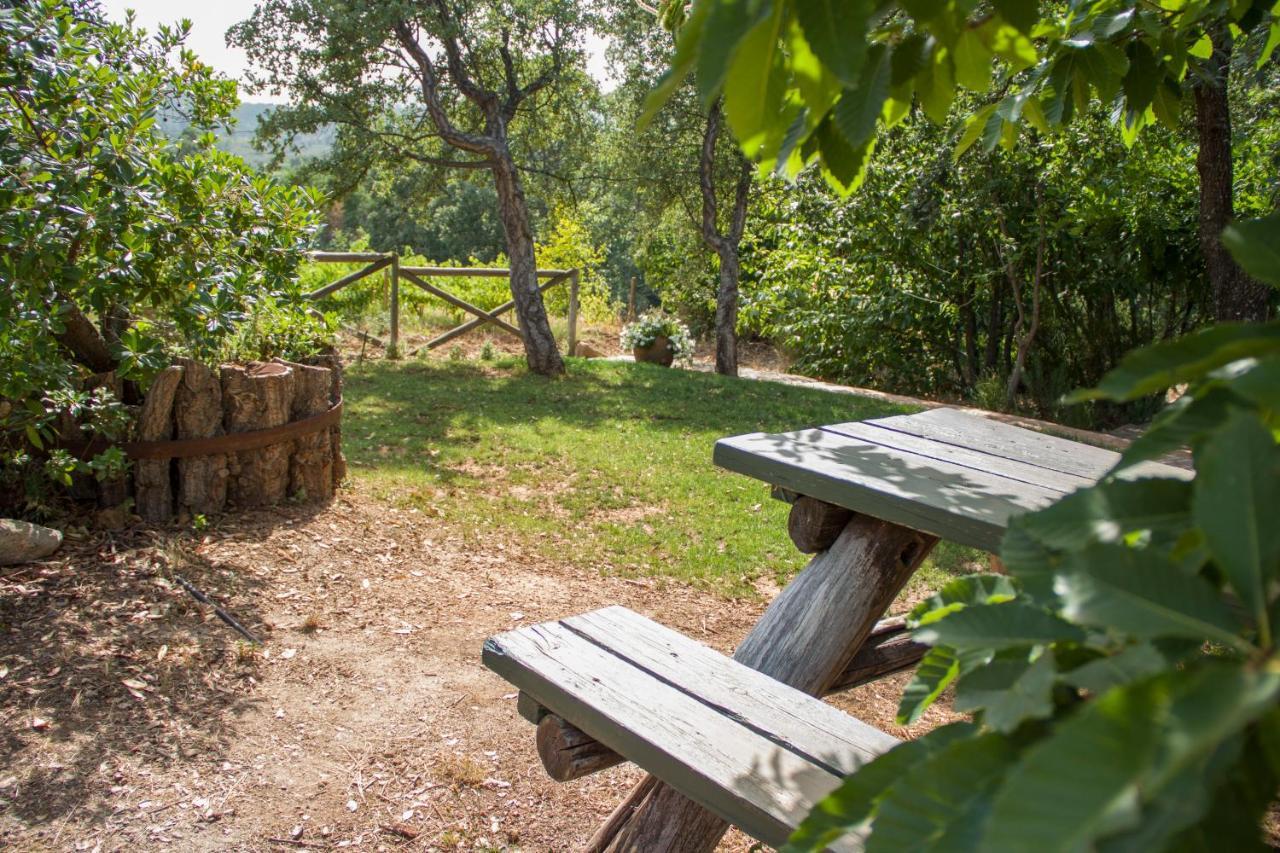 La Simona Casa Rural Perales del Puerto Esterno foto