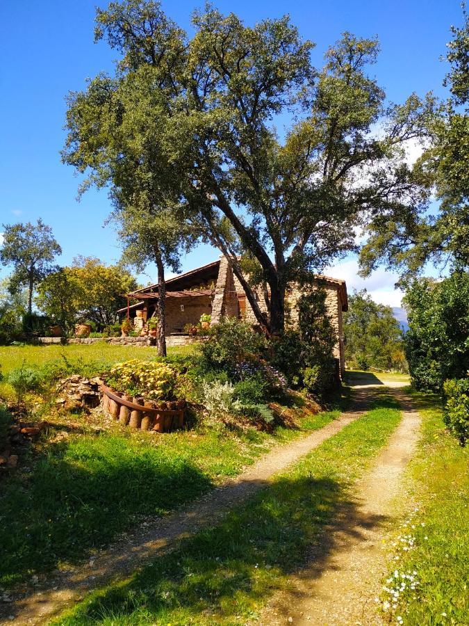 La Simona Casa Rural Perales del Puerto Esterno foto