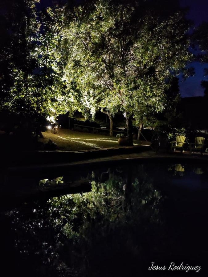 La Simona Casa Rural Perales del Puerto Esterno foto