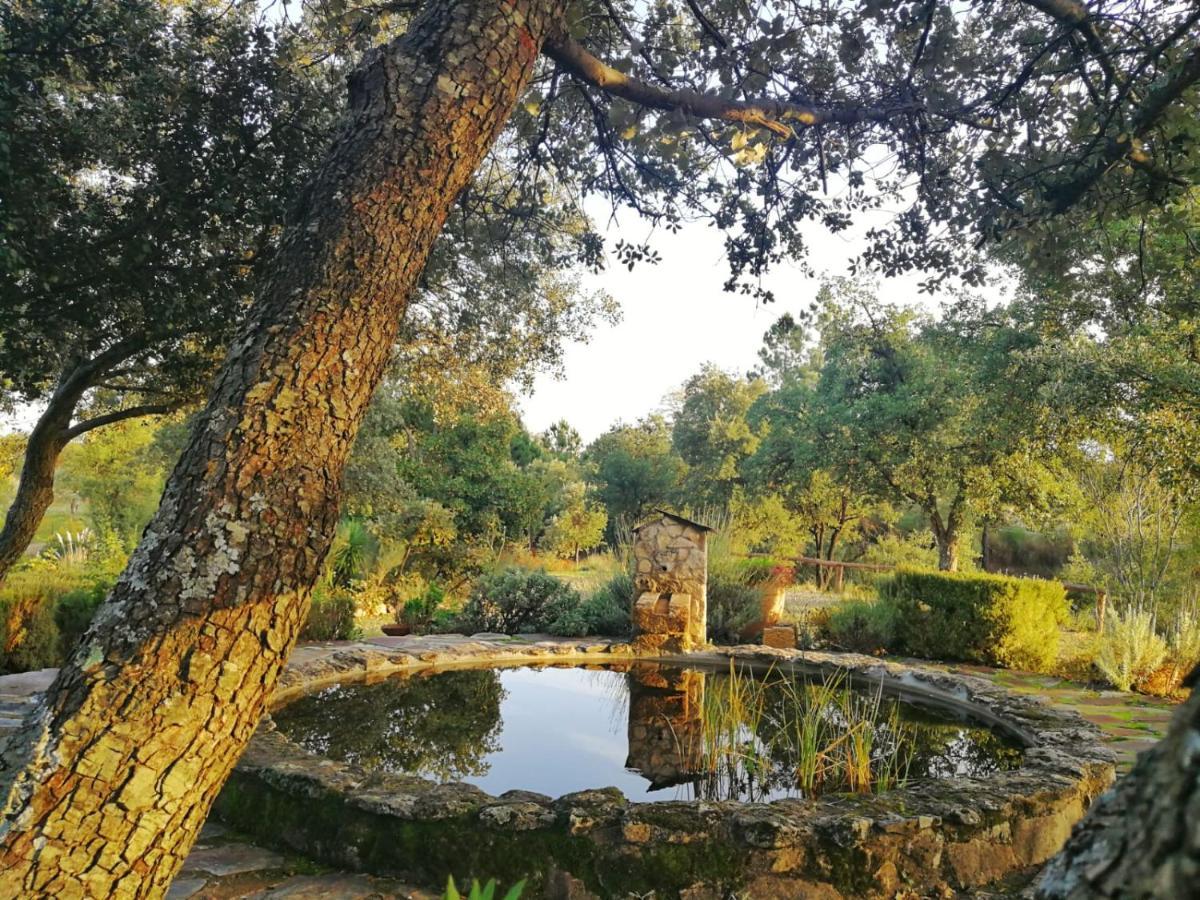 La Simona Casa Rural Perales del Puerto Esterno foto