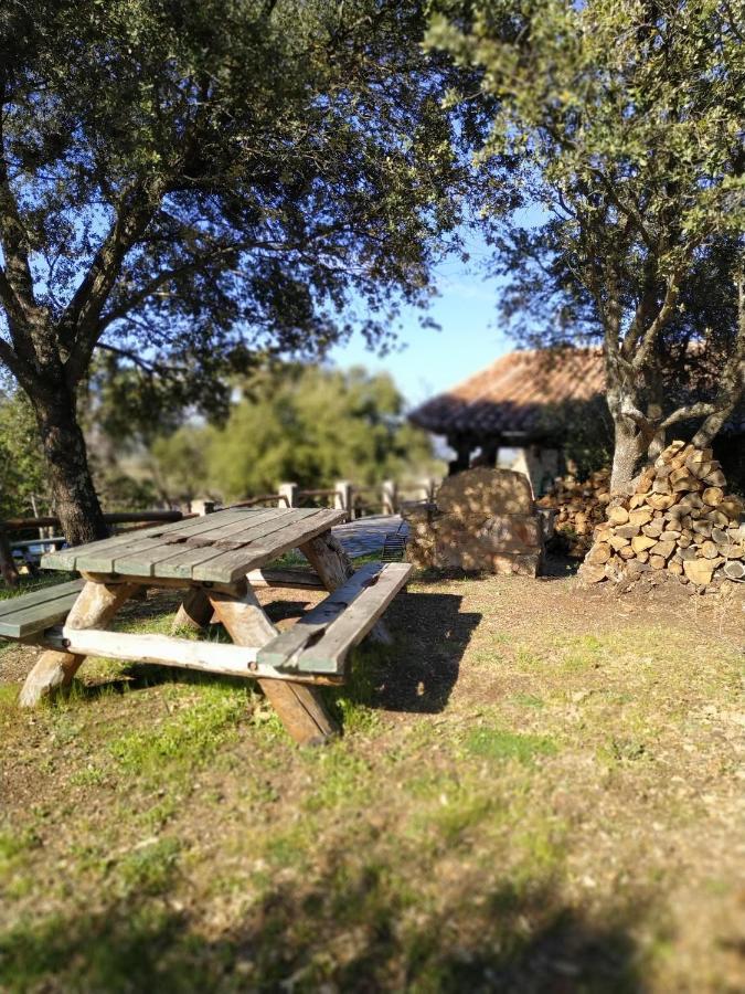 La Simona Casa Rural Perales del Puerto Esterno foto