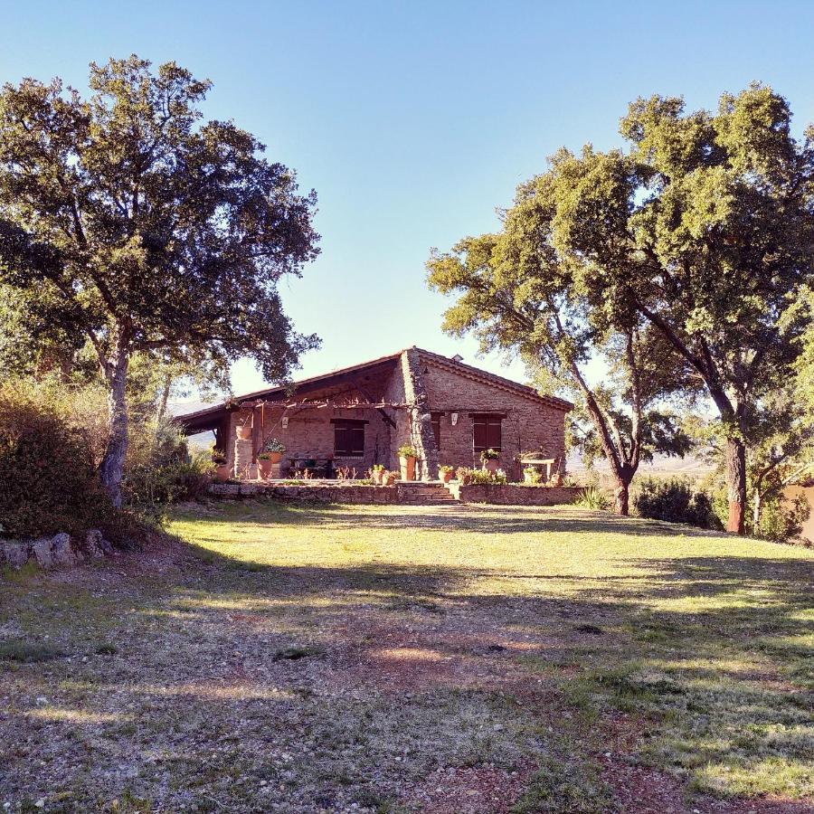 La Simona Casa Rural Perales del Puerto Esterno foto