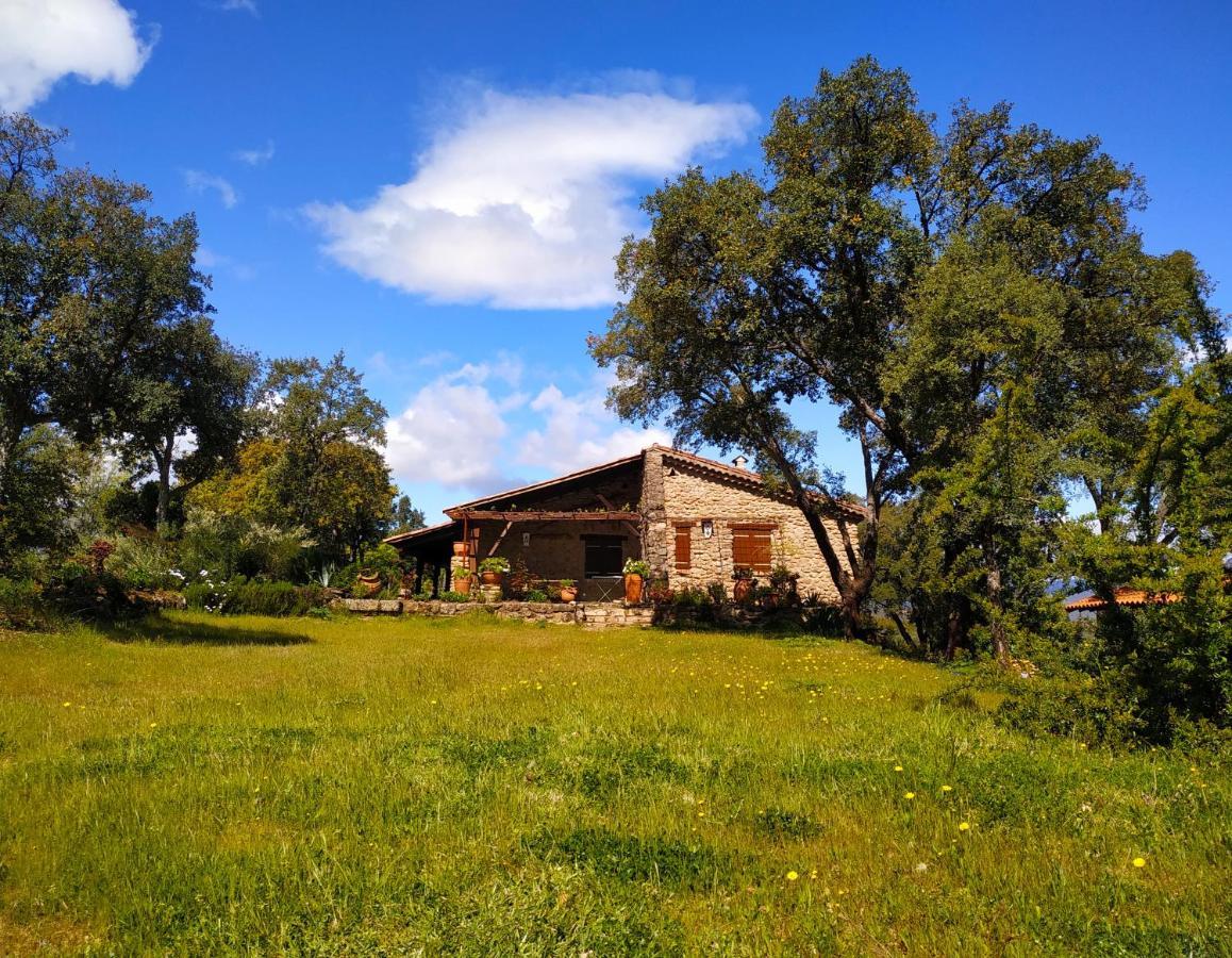 La Simona Casa Rural Perales del Puerto Esterno foto