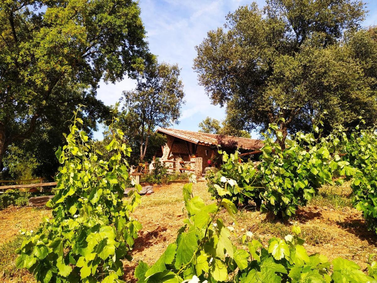 La Simona Casa Rural Perales del Puerto Esterno foto